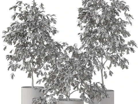 植物コレクション 897 3Dモデル