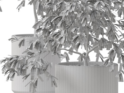 Plants collection 897 Model 3D