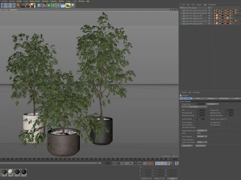 植物コレクション 897 3Dモデル