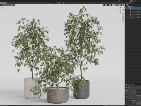 Plants collection 897 Model 3D
