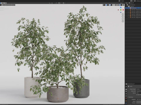 植物コレクション 897 3Dモデル