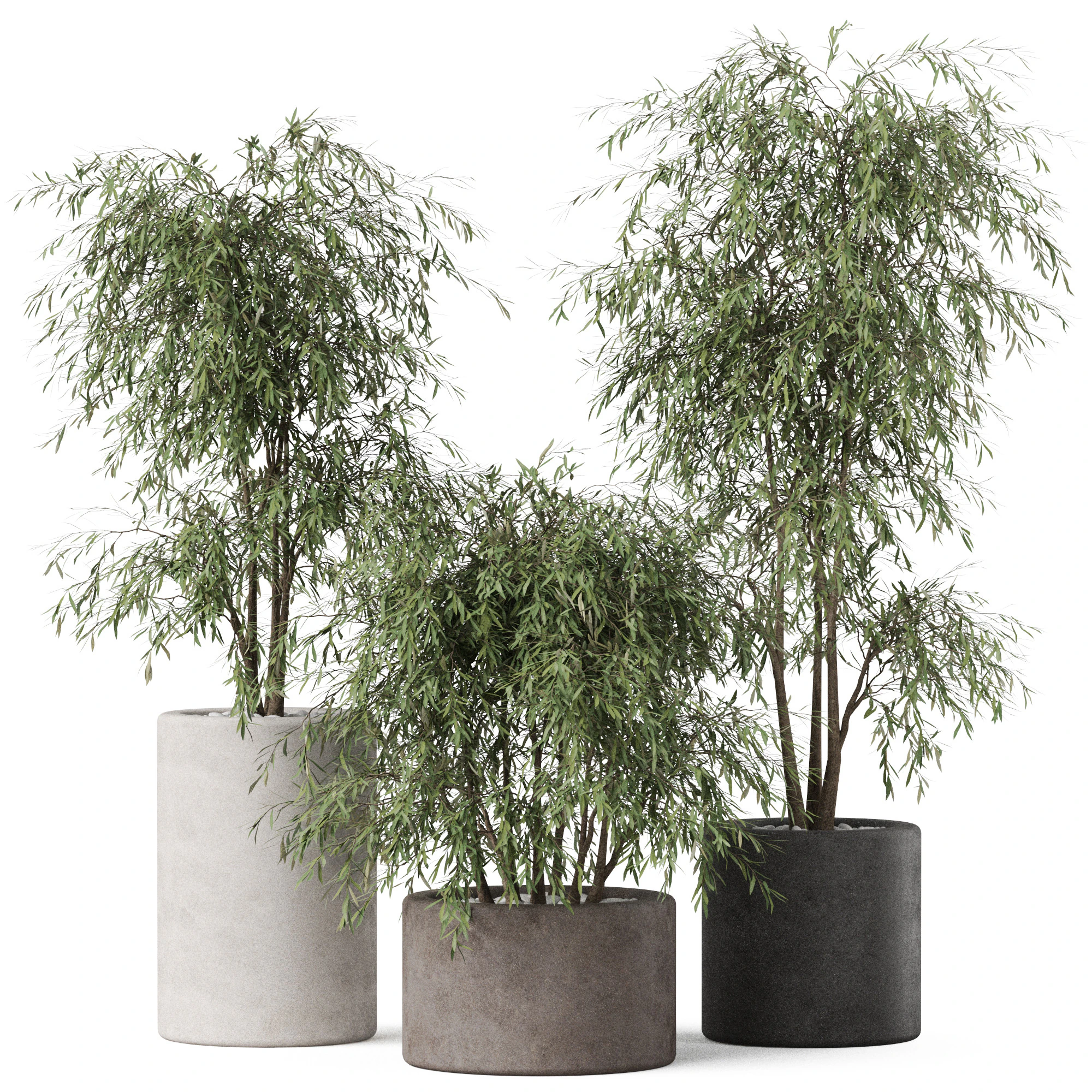 植物收藏 898 3D 模型 .c4d .max .obj .3ds .fbx .stl .blend 