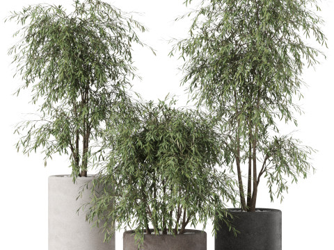 Plants collection 898 3D Модель