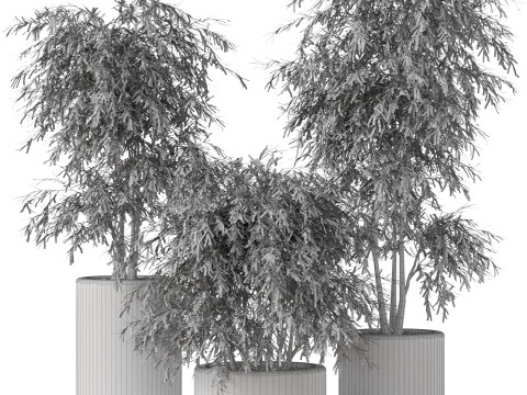 Plants collection 898 Modelo 3D