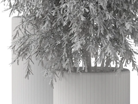 植物收藏 898 3D 模型