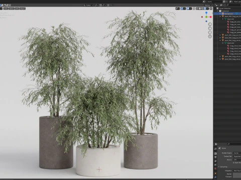 植物收藏 898 3D 模型