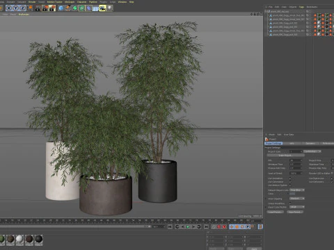 植物收藏 898 3D 模型