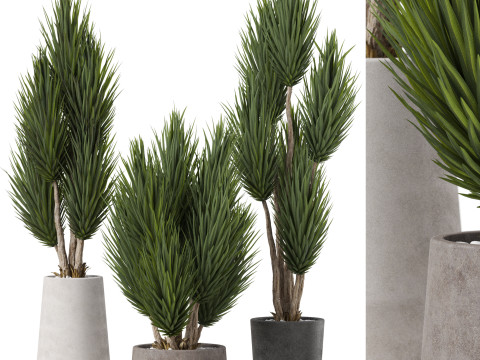 Plants collection 899 3D Модель