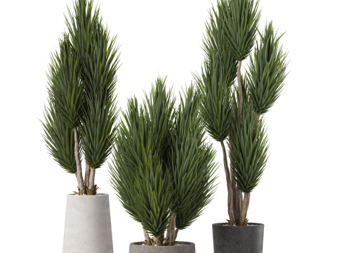 Plants collection 899 3D Модель