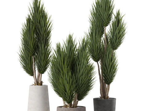 식물채집 899 3D 모델