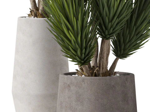 식물채집 899 3D 모델