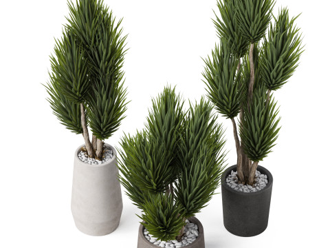 Plants collection 899 3D Модель