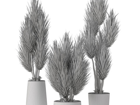 Plants collection 899 3D Модель