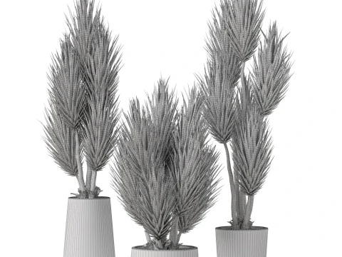 식물채집 899 3D 모델