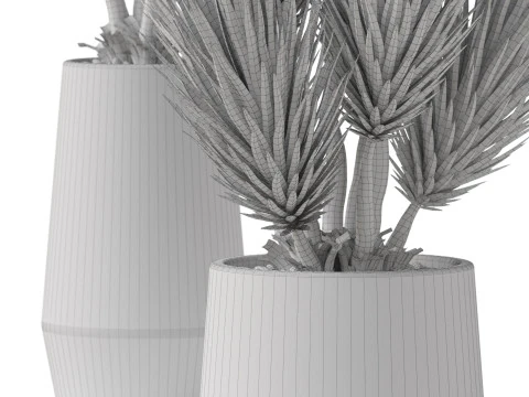 식물채집 899 3D 모델