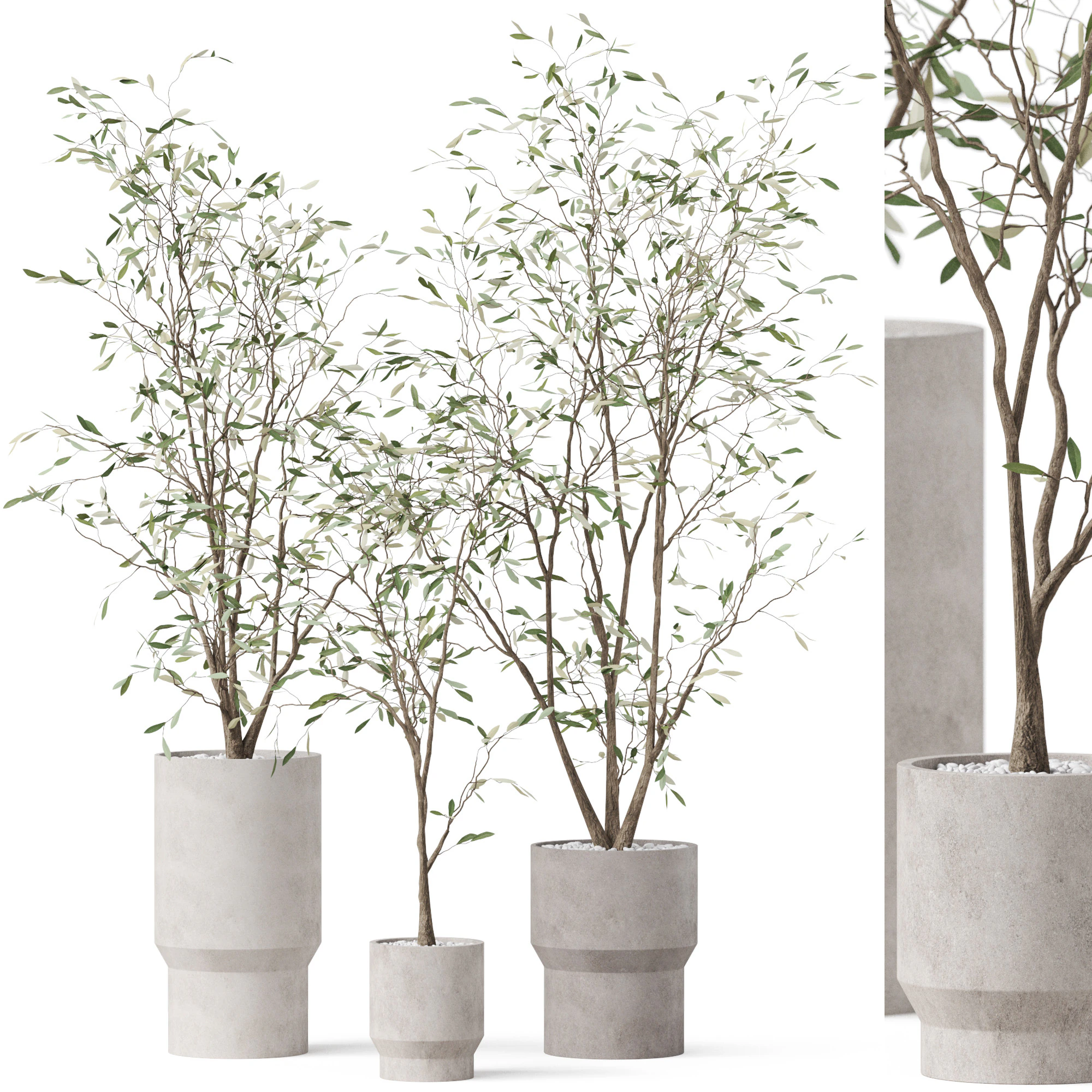 Plants collection 900 3D Model .c4d .max .obj .3ds .fbx .stl .blend 