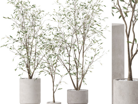 Plants collection 900 3D Модель