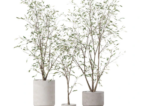 Plants collection 900 3D Model