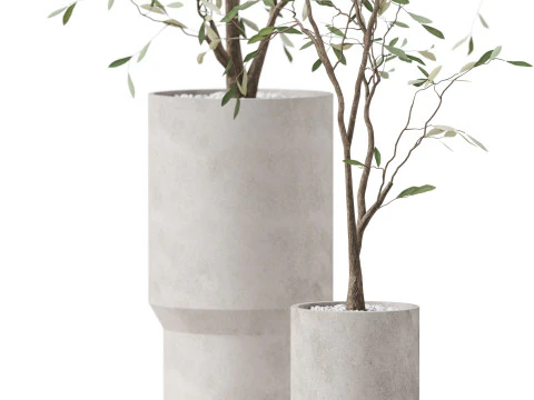 Plants collection 900 3D Model