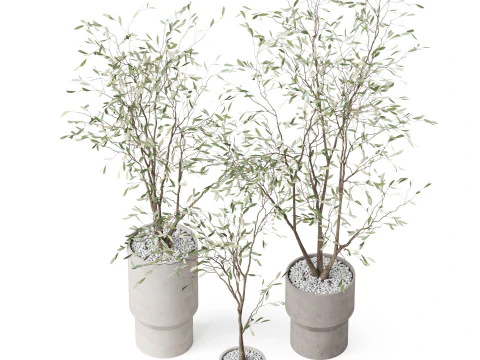 Plants collection 900 3D Model