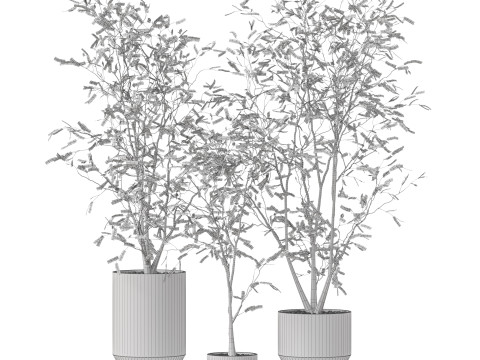 Plants collection 900 3D Модель