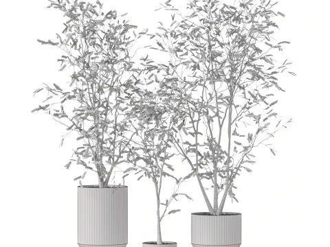 Plants collection 900 3D Model