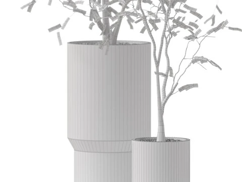 Plants collection 900 3D Model