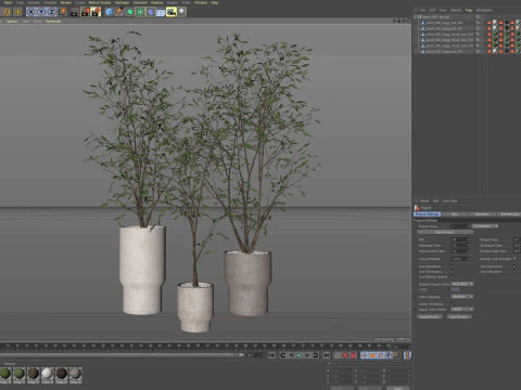 Plants collection 900 3D Model
