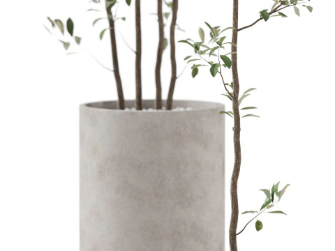 Kolekcja roślin 901 Model 3D