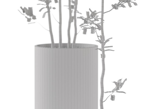 Plants collection 901 3Dモデル
