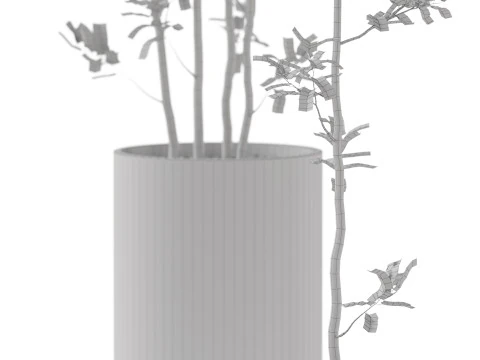 Kolekcja roślin 901 Model 3D