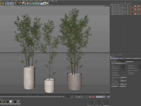 Plants collection 901 3Dモデル