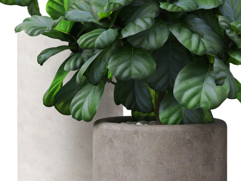 Koleksi tanaman 902 Model 3D