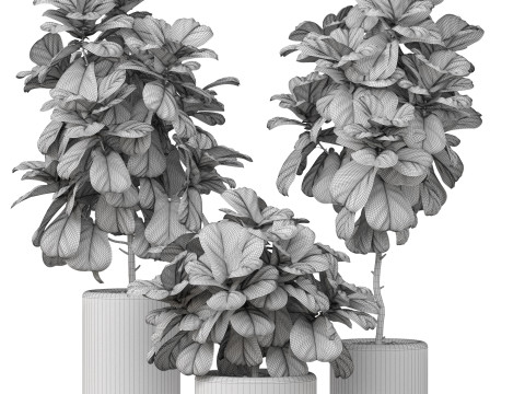 Plants collection 902 Model 3D