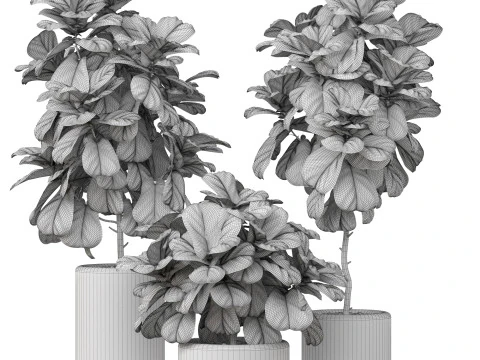 Koleksi tanaman 902 Model 3D