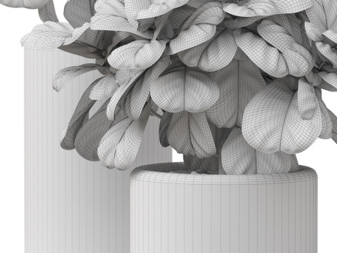 Plants collection 902 Model 3D