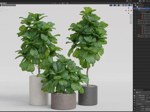 Koleksi tanaman 902 Model 3D