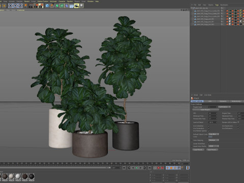 Plants collection 902 Model 3D