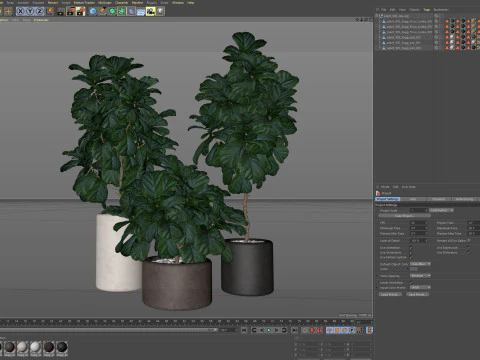 Koleksi tanaman 902 Model 3D