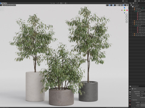 Plants collection 903 Modelo 3D