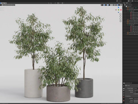 Cole&ccedil;&atilde;o de plantas 903 Modelo 3D