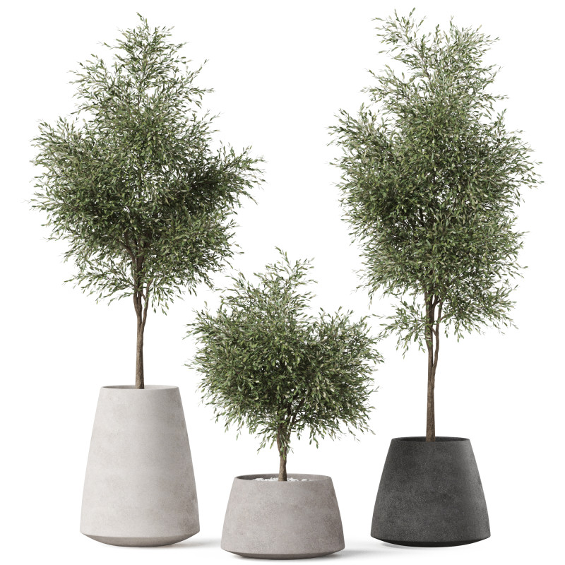 Plants collection 904 3D 모델 .c4d .max .obj .3ds .fbx .stl .blend