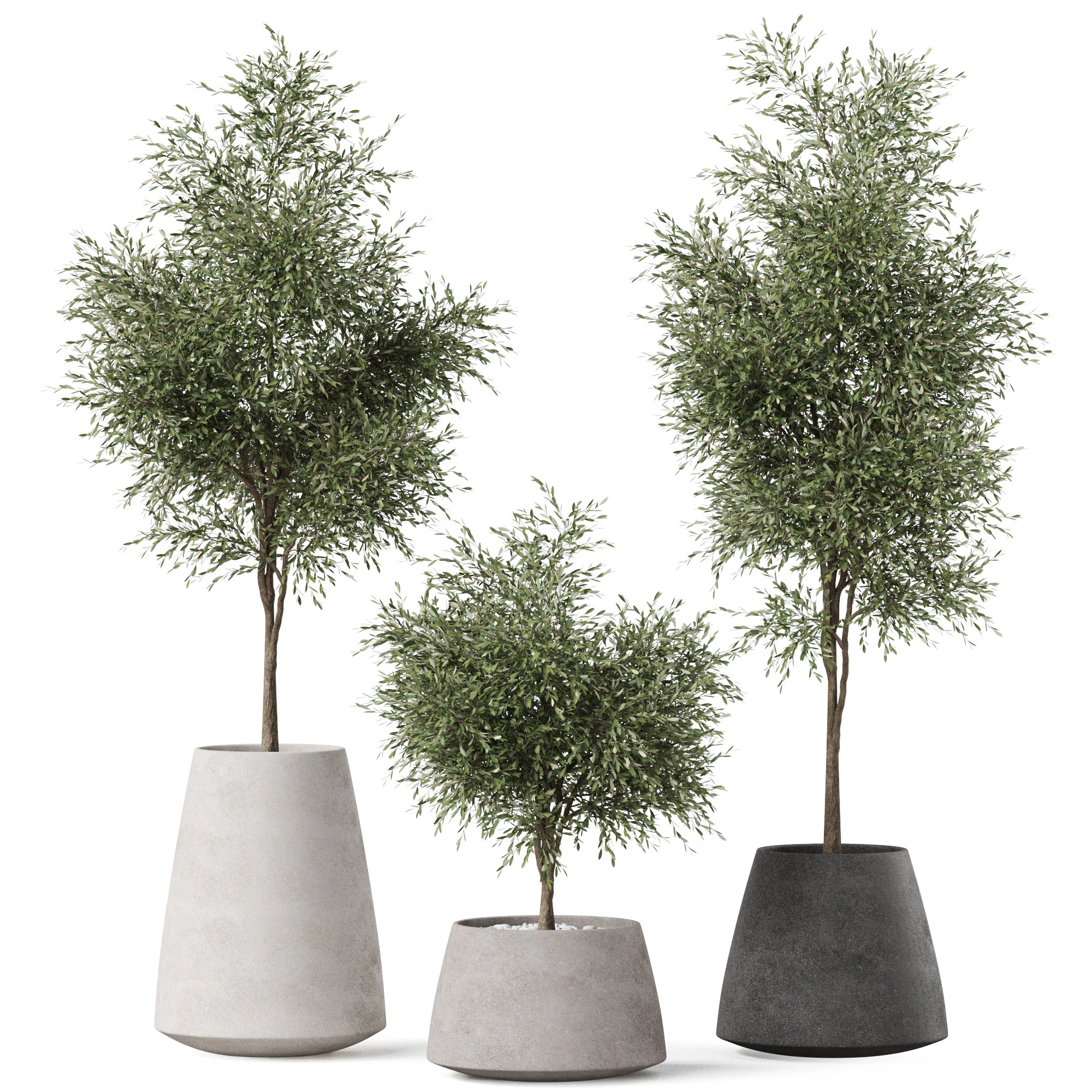 Plants collection 904 3D Model .c4d .max .obj .3ds .fbx .stl .blend 