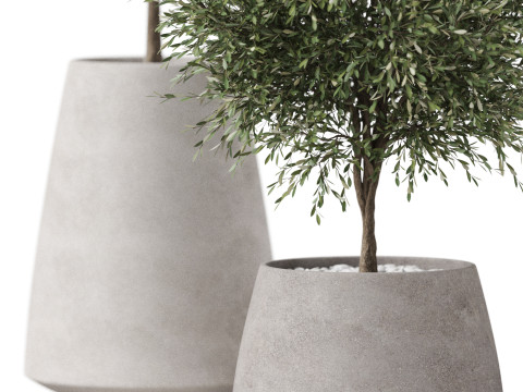 Plants collection 904 3D 모델