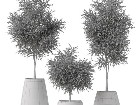 Plants collection 904 3D Model