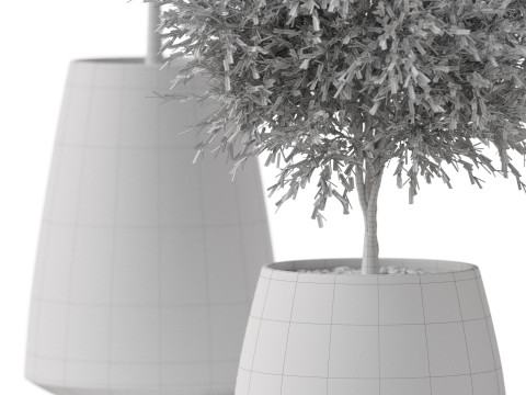 Plants collection 904 3D 모델