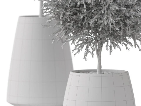 Plants collection 904 3D Model