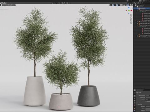 Plants collection 904 3D 모델