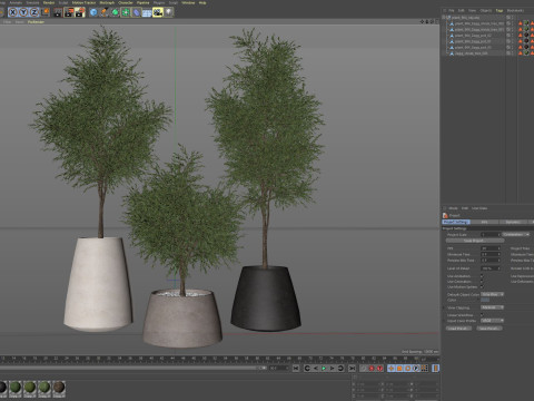 Plants collection 904 3D 모델