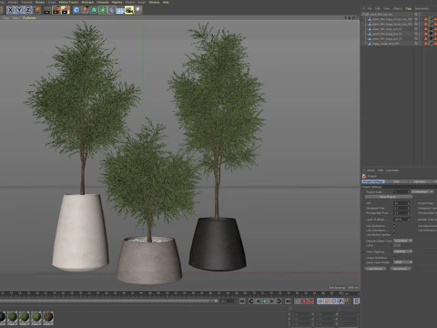 Plants collection 904 3D Model